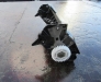 Qualcast 14 Scarifer Cassette - 3